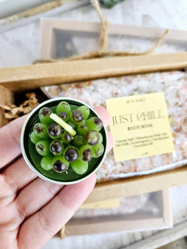 Just Chill Bath Salt & Succulent Candle Set